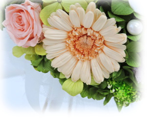 f:id:colorbless:20160225202510j:image