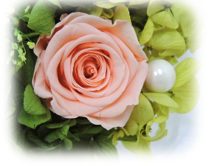 f:id:colorbless:20160225202558j:image