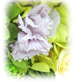 f:id:colorbless:20160225202648j:image
