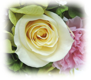 f:id:colorbless:20160225202726j:image