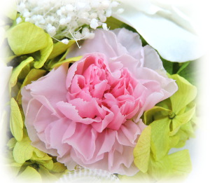 f:id:colorbless:20160225202845j:image