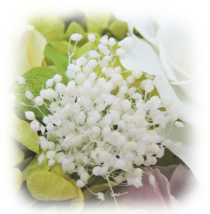 f:id:colorbless:20160225202935j:image