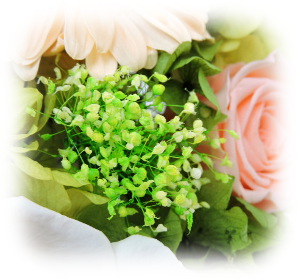 f:id:colorbless:20160225203113j:image
