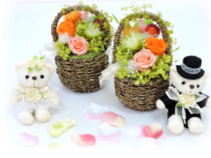 f:id:colorbless:20160301000159j:image