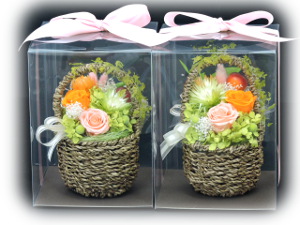 f:id:colorbless:20160301000336j:image