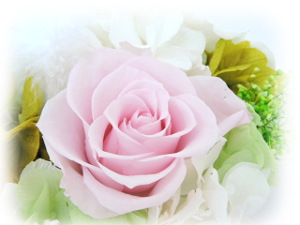 f:id:colorbless:20160307232805j:image f:id:colorbless:20160307232805j:image