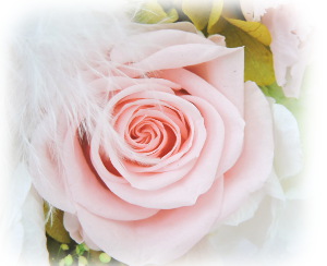 f:id:colorbless:20160307232842j:image f:id:colorbless:20160307232842j:image