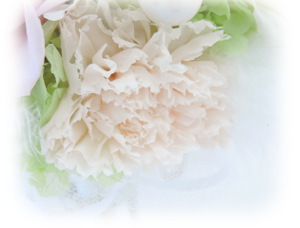 f:id:colorbless:20160307232914j:image f:id:colorbless:20160307232914j:image