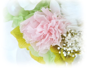f:id:colorbless:20160307232949j:image f:id:colorbless:20160307232949j:image