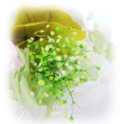 f:id:colorbless:20160307233037j:image f:id:colorbless:20160307233037j:image
