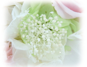f:id:colorbless:20160307233122j:image f:id:colorbless:20160307233122j:image