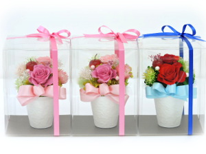 f:id:colorbless:20160315215739j:image