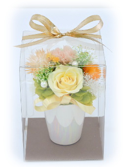 f:id:colorbless:20160316233450j:image