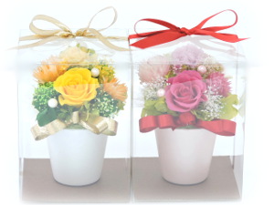 f:id:colorbless:20160318232624j:image