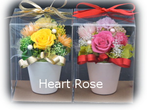 f:id:colorbless:20160318232704j:image