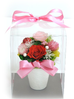 f:id:colorbless:20160319184137j:image