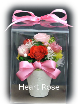 f:id:colorbless:20160319184217j:image