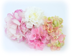 f:id:colorbless:20160321234031j:image f:id:colorbless:20160321234031j:image