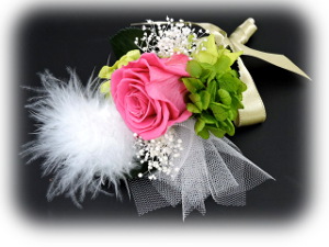 f:id:colorbless:20160321234057j:image f:id:colorbless:20160321234057j:image