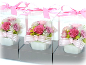 f:id:colorbless:20160323012955j:image