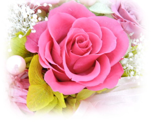 f:id:colorbless:20160323013249j:image