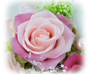 f:id:colorbless:20160323013332j:image
