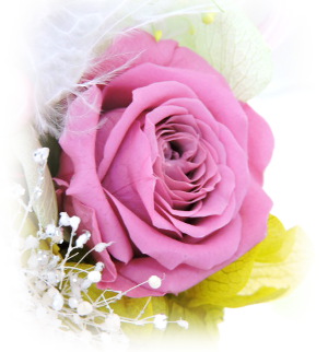f:id:colorbless:20160323013412j:image