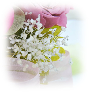 f:id:colorbless:20160323013501j:image