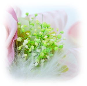 f:id:colorbless:20160323013602j:image