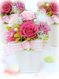 f:id:colorbless:20160323013705j:image