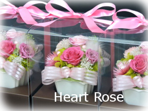 f:id:colorbless:20160323013739j:image