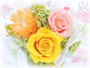 f:id:colorbless:20160325005020j:image