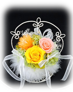 f:id:colorbless:20160325005056j:image