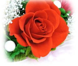 f:id:colorbless:20160325233354j:image