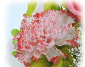 f:id:colorbless:20160325233429j:image