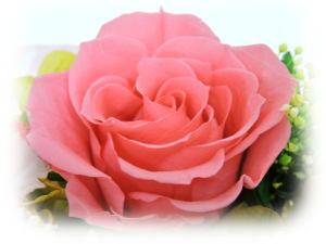 f:id:colorbless:20160325233459j:image