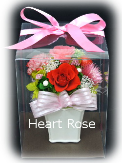 f:id:colorbless:20160325233557j:image