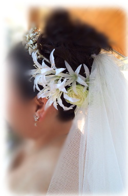 f:id:colorbless:20160329234807j:image f:id:colorbless:20160329234807j:image