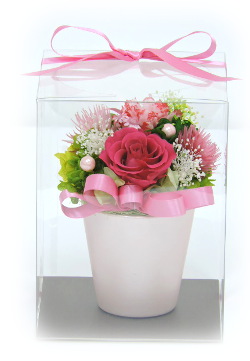 f:id:colorbless:20160330234404j:image f:id:colorbless:20160330234404j:image