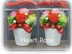f:id:colorbless:20160330234458j:image f:id:colorbless:20160330234458j:image