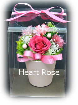 f:id:colorbless:20160330234548j:image f:id:colorbless:20160330234548j:image