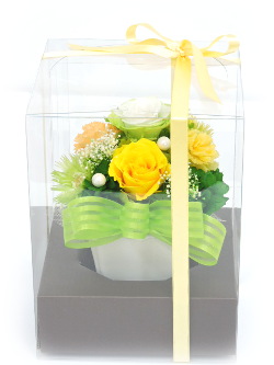 f:id:colorbless:20160331233741j:image