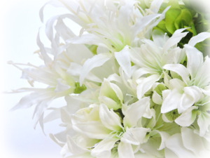 f:id:colorbless:20160405230543j:image
