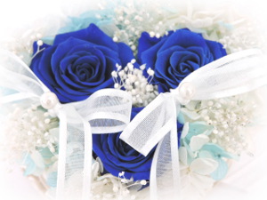 f:id:colorbless:20160411214611j:image