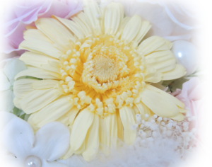 f:id:colorbless:20160416212241j:image