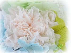 f:id:colorbless:20160429215649j:image