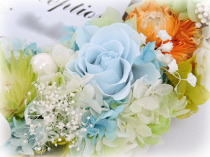 f:id:colorbless:20160429220018j:image