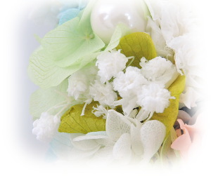 f:id:colorbless:20160429220127j:image