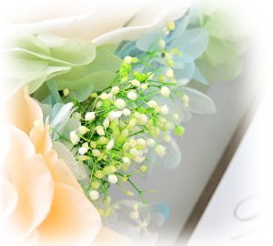 f:id:colorbless:20160429220149j:image