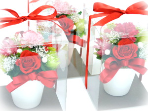f:id:colorbless:20160503191925j:image f:id:colorbless:20160503191925j:image